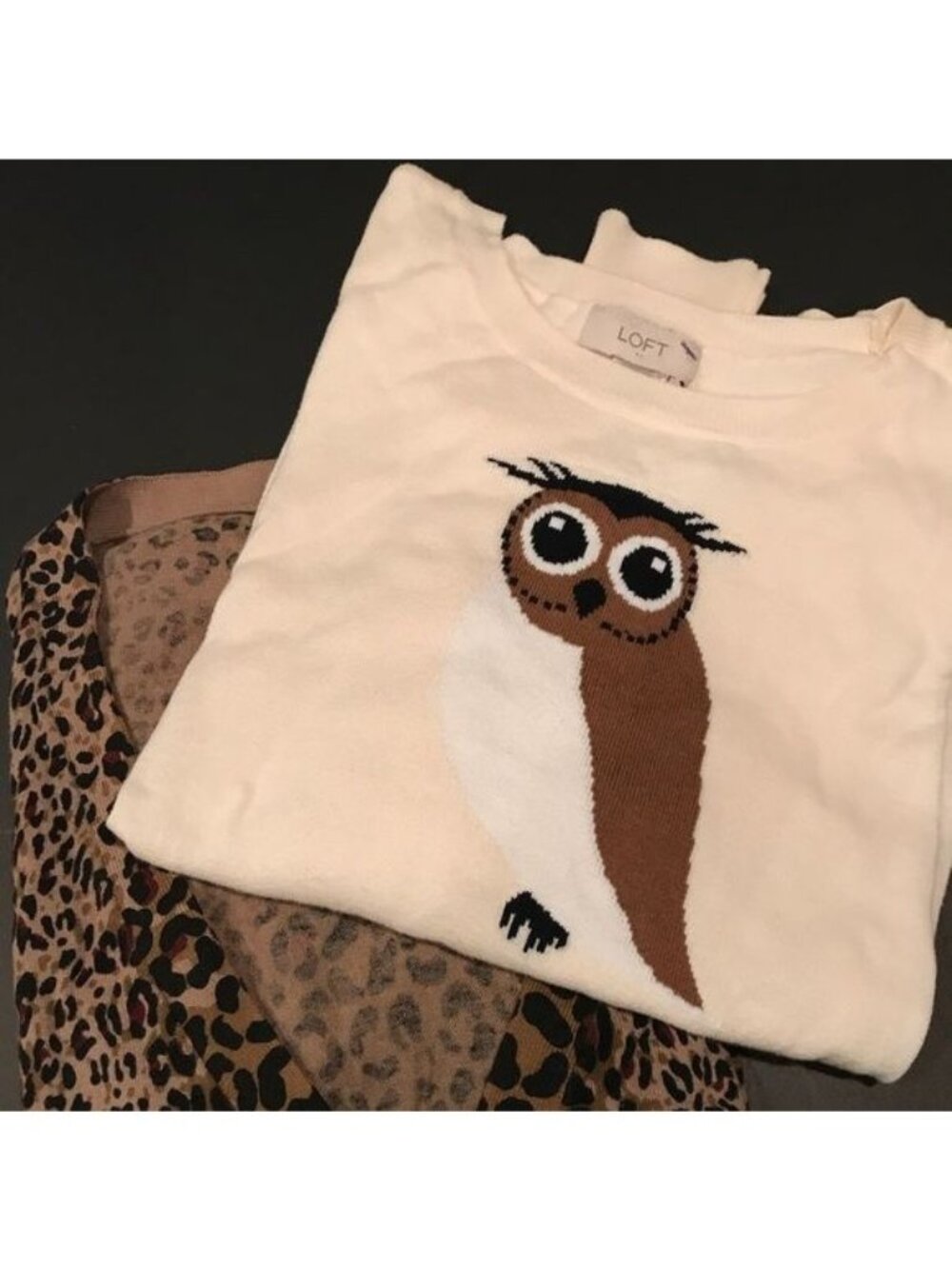 LOFT Cream Sweater Owl Graphic Crew Neck Long Sleeves Fall Vibes NWOT - Small